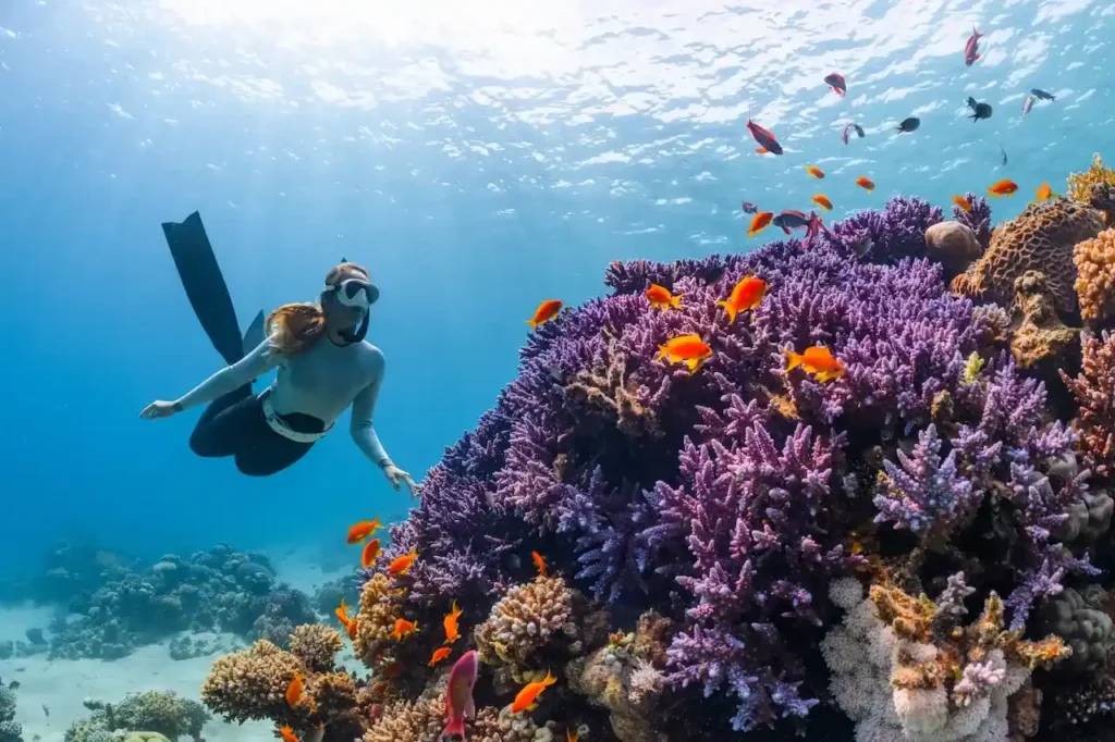 A freediver swims near a Beautifull coral in a ocean