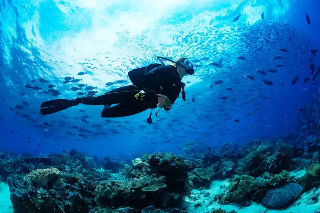 A scuba diver dives over the corals and enjoys the marine Life
